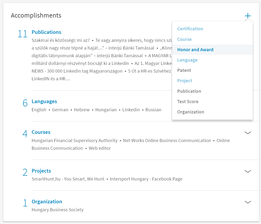 New Linkedin UI - from Interests to Accomplishments by DrLinkedin